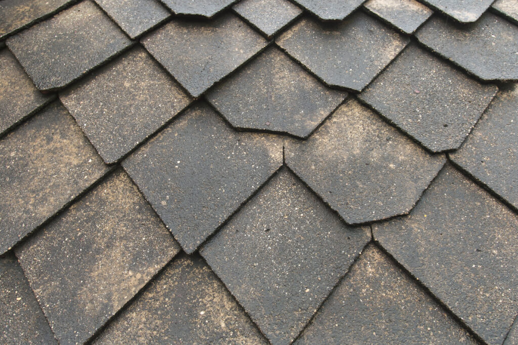 Curling roof shingle