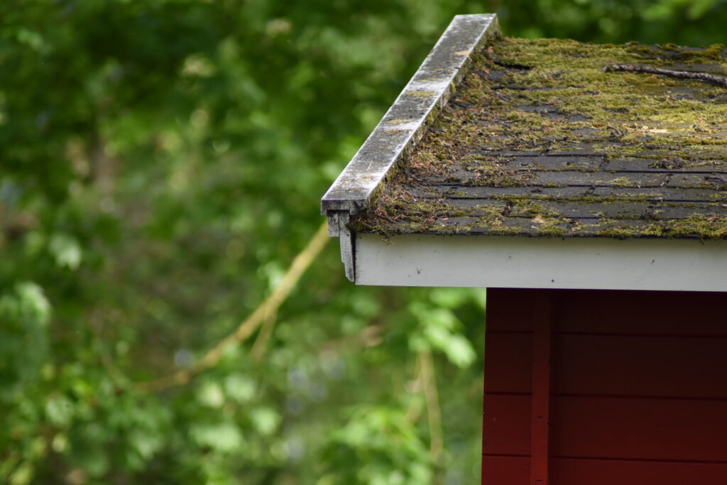 Remove Moss from Your Roof