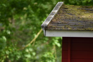 Remove Moss from Your Roof