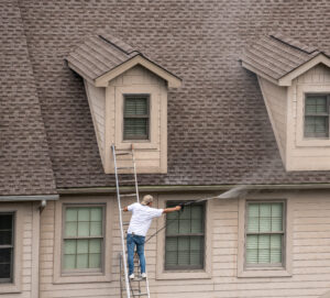 Roof Cleaning Cost Pricing