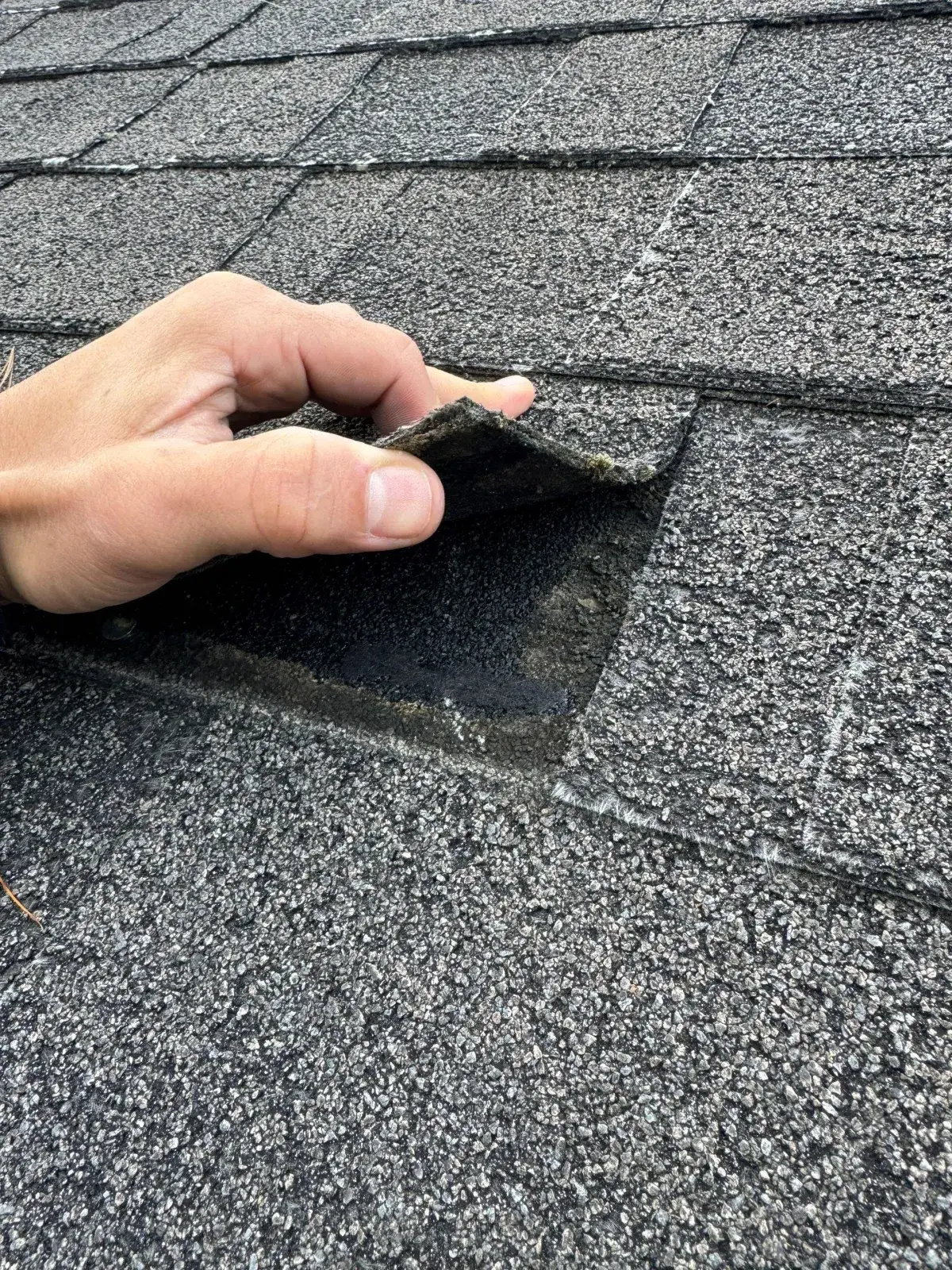Understanding the Lifespan of a Shingle Roof in New England's Climate
