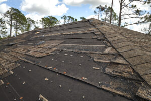 Hail Damage on Roofs