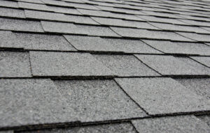 Wind Damage to Roof Shingles