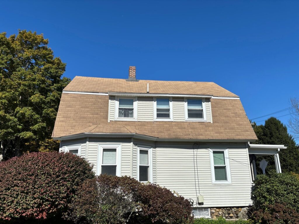 Different Types of Roofs
