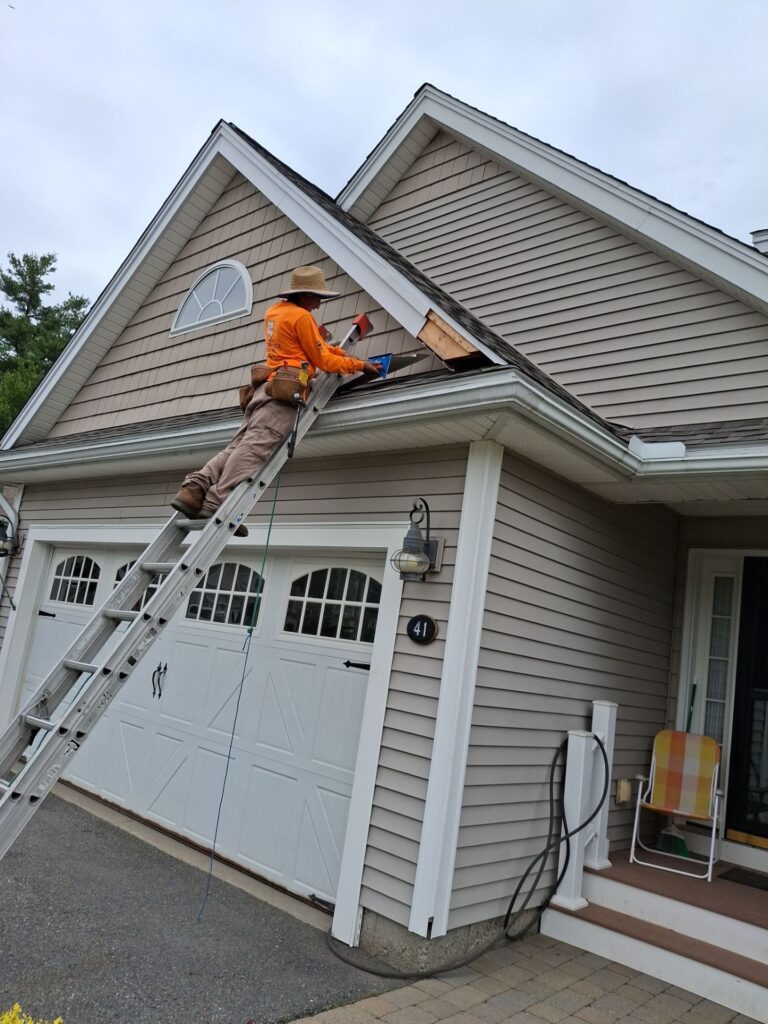 Free Siding Inspection